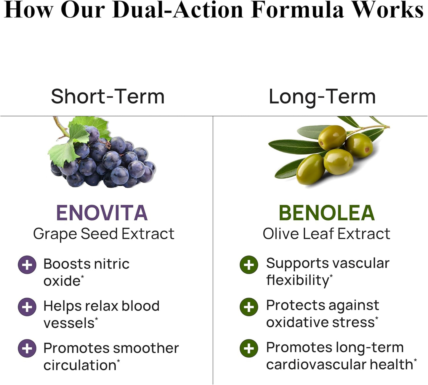 Durable Blood Pressure – Benolea Olive Leaf & Enovita Grape Seed Extract – Normal Circulation, Nitric Oxide & Artery Support – Doctor-Formulated, Vegan, Non-GMO, Made in USA (180 Capsules) - görsel 4