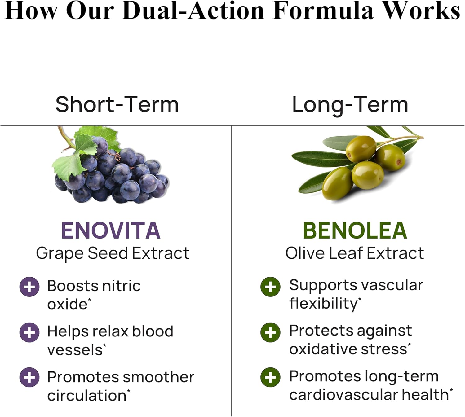 Durable Blood Pressure – Benolea Olive Leaf & Enovita Grape Seed Extract – Normal Circulation, Nitric Oxide & Artery Support – Doctor-Formulated, Vegan, Non-GMO, Made in USA (180 Capsules) - görsel 4