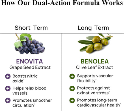 Durable Blood Pressure – Benolea Olive Leaf & Enovita Grape Seed Extract – Normal Circulation, Nitric Oxide & Artery Support – Doctor-Formulated, Vegan, Non-GMO, Made in USA (180 Capsules)