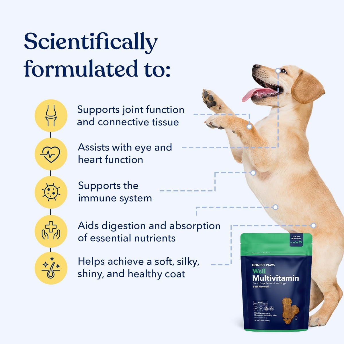 Honest Paws Dog Multivitamin Soft Chews - 90 Count - with 10 Essential Vitamins, Glucosamine, Chondroitin & Omega-3 - Beef Flavour - görsel 2