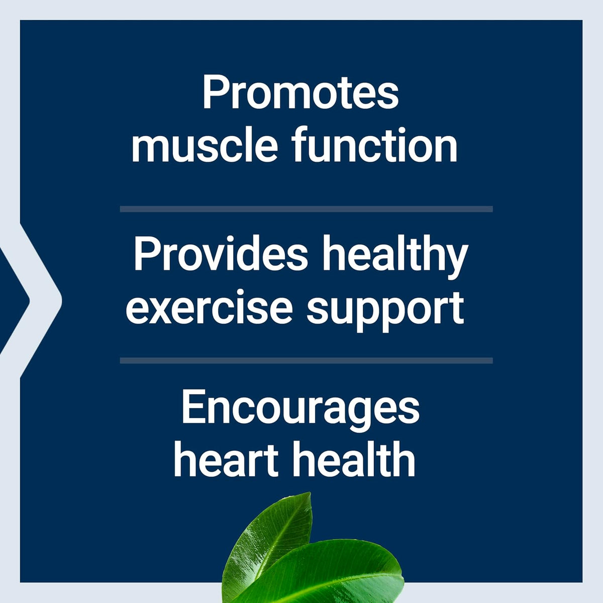 Life Extension Super Carnosine, L-Carnosine, Luteolin, Vitamin B1, 60 Capsules - görsel 4