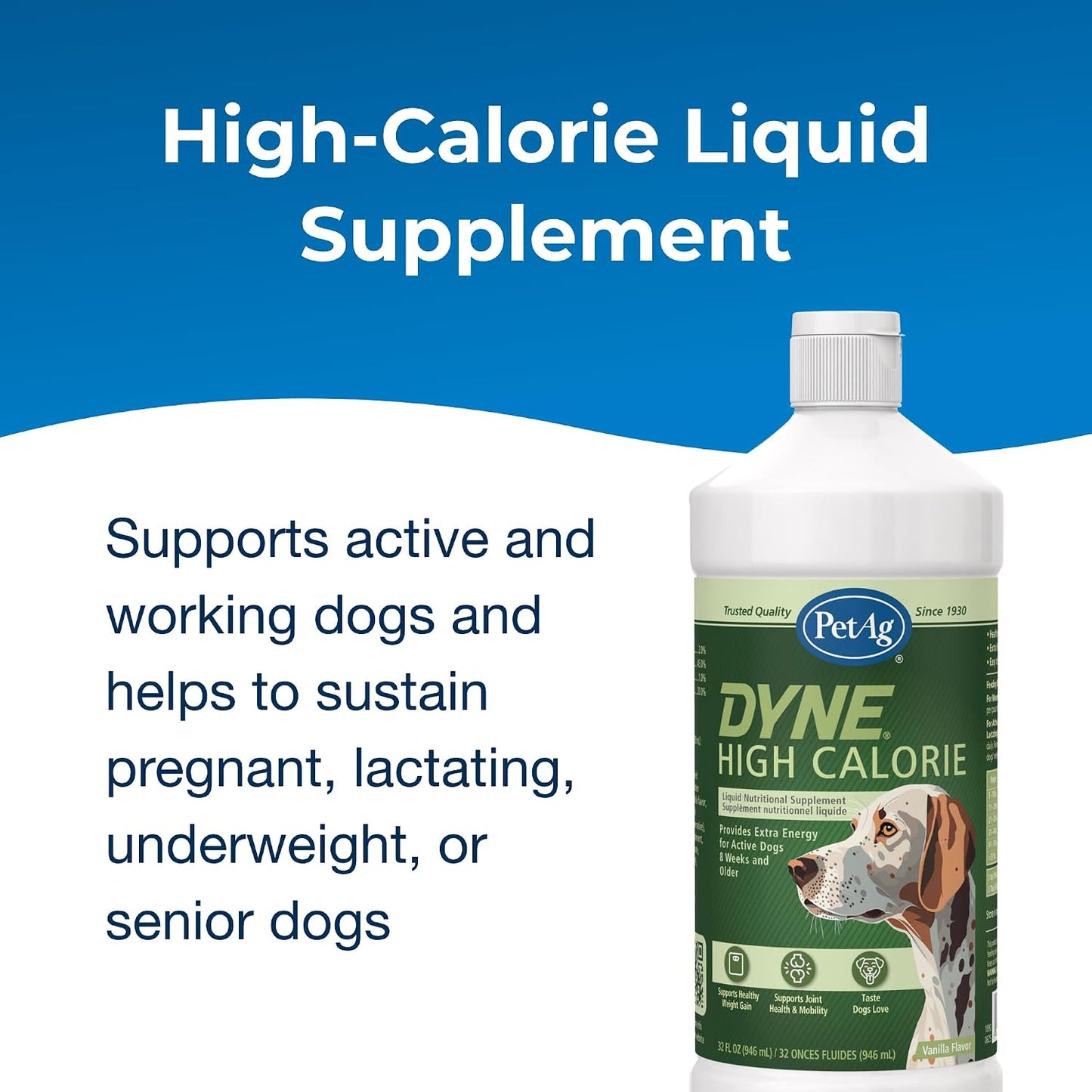 PetAg Dyne High Calorie Liquid Nutritional Supplement for Dogs & Puppies, 946 ml - görsel 3