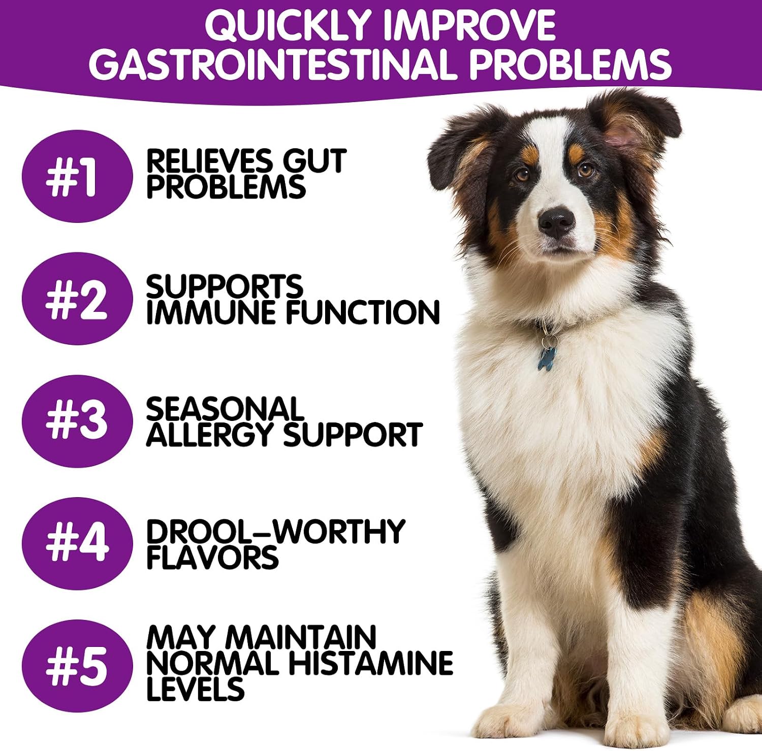 Probiotics for Dogs – Digestive & Coat Health – 120 Soft Chews - görsel 9