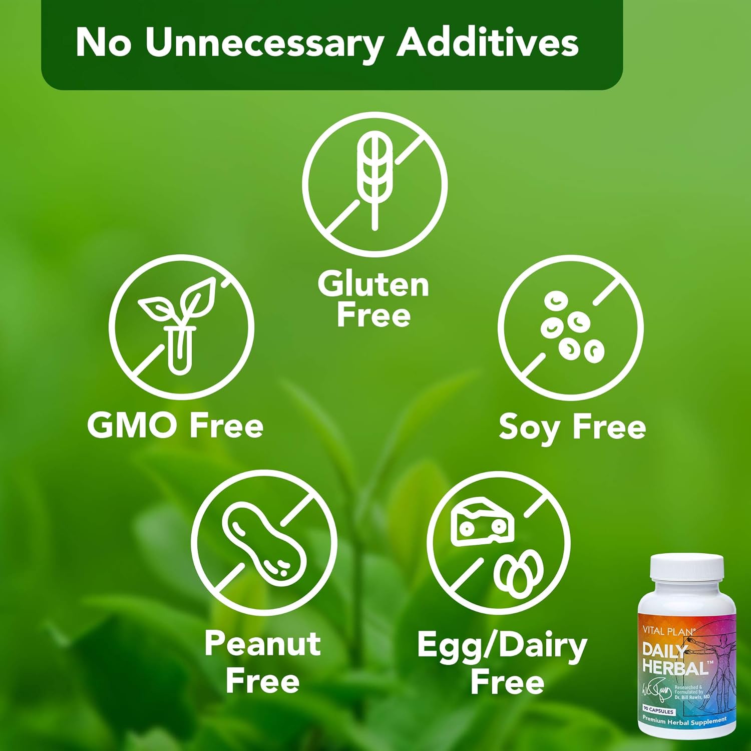 Vital Plan Daily Herbal Supplement – Immune Support, Microbiome Balance and Cell Health - görsel 3