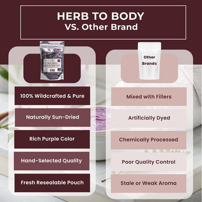 Herb To Body Purple Sea Moss – 113g (4oz), Wildcrafted from Saint Lucia, Raw & Dried