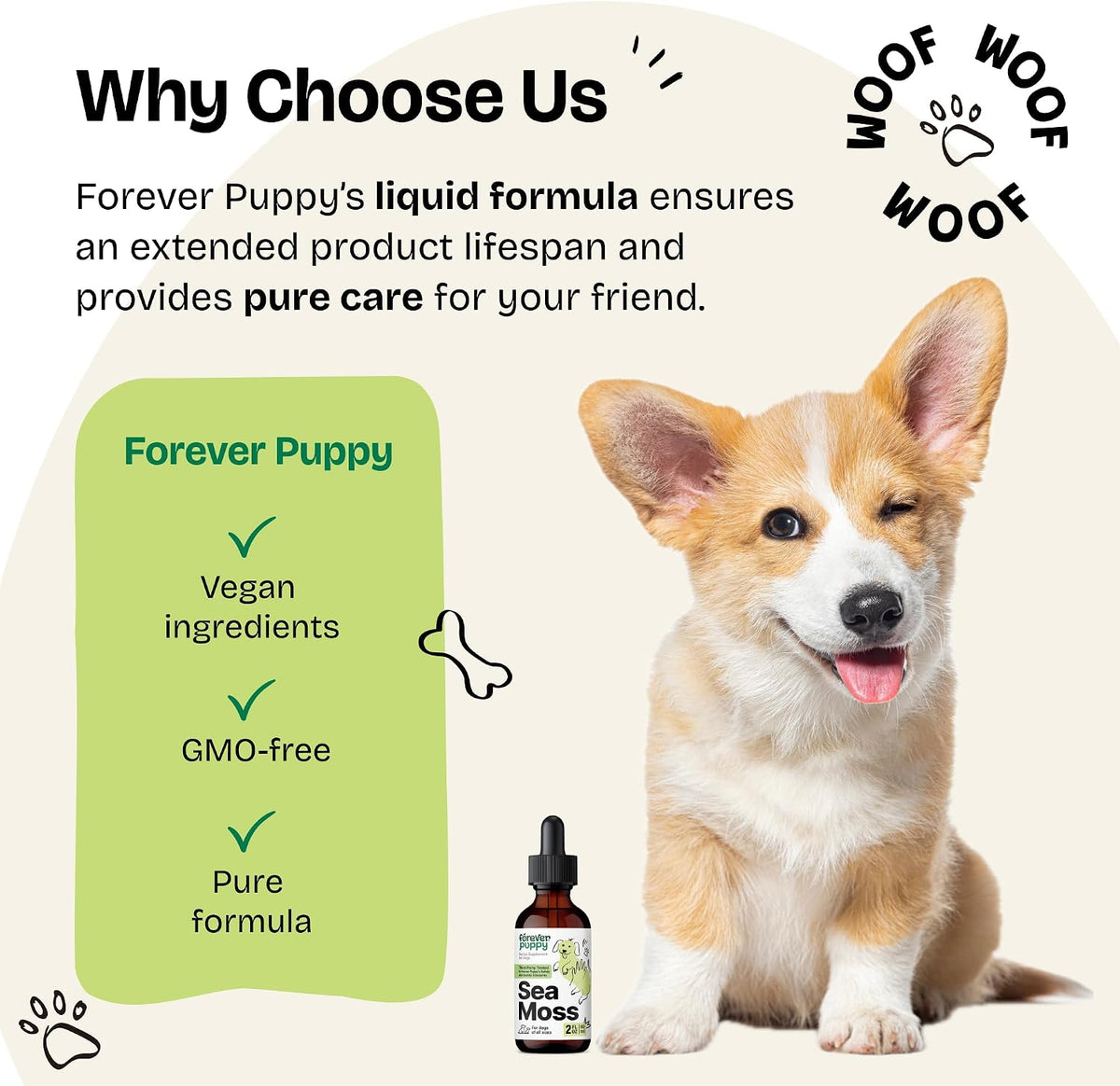 Forever Puppy Irish Sea Moss Drops for Dogs - Thyroid Function & Energy - Nutritional Drops with Liquid Sea Moss Extract - Alcohol-Free - 60 ml - görsel 6