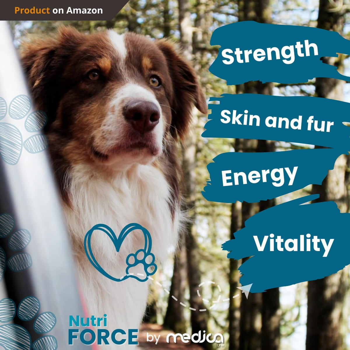 NutriForce 44-in-1 Multivitamin for Dogs – 120 Chewable Tablets – Liver Flavour - görsel 5