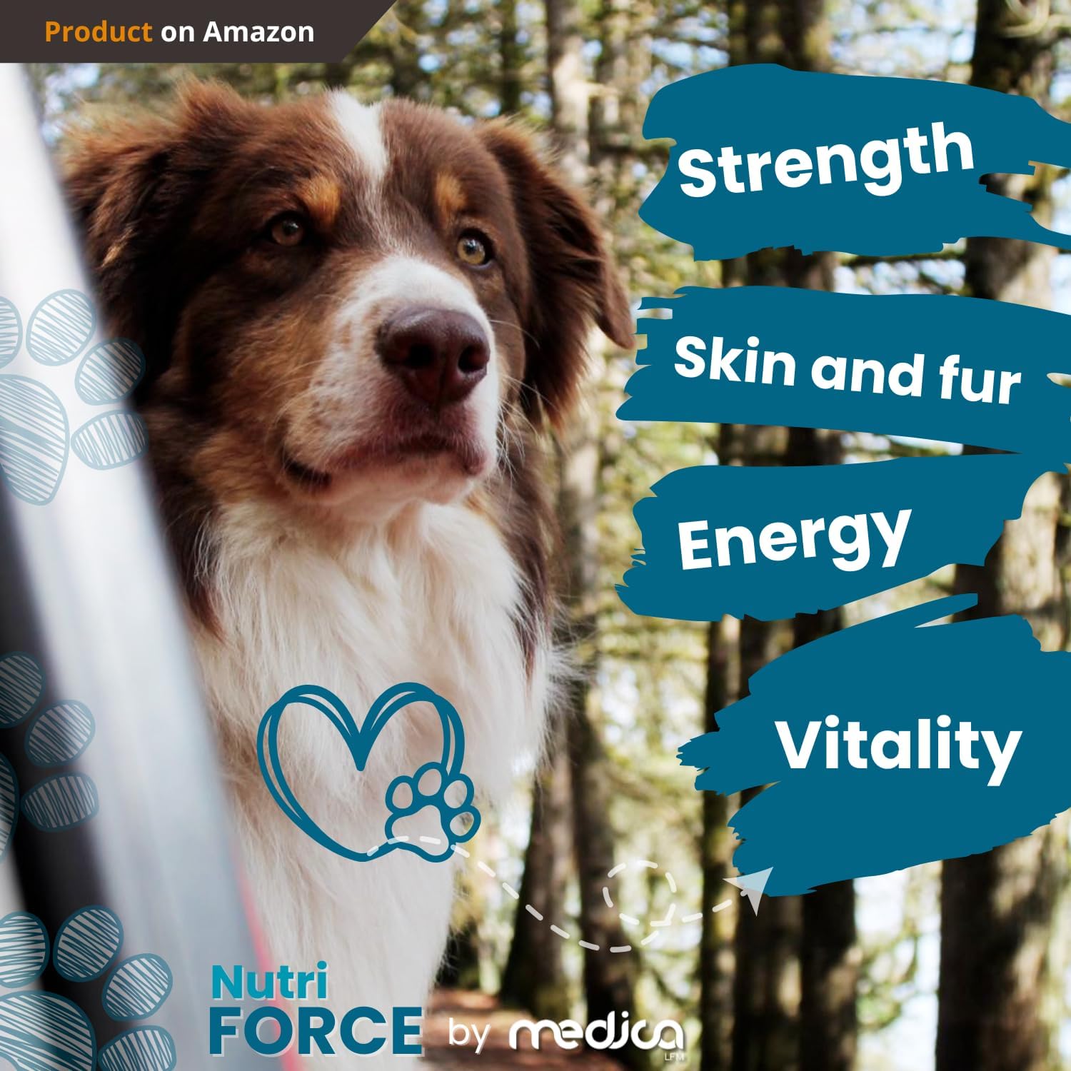 NutriForce 44-in-1 Multivitamin for Dogs – 120 Chewable Tablets – Liver Flavour - görsel 5