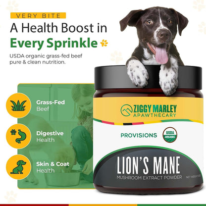 ZMA PETS Organic Lion's Mane Mushroom Powder for Dogs and Cats – Cognitive Support, USDA Organic, 45 Servings