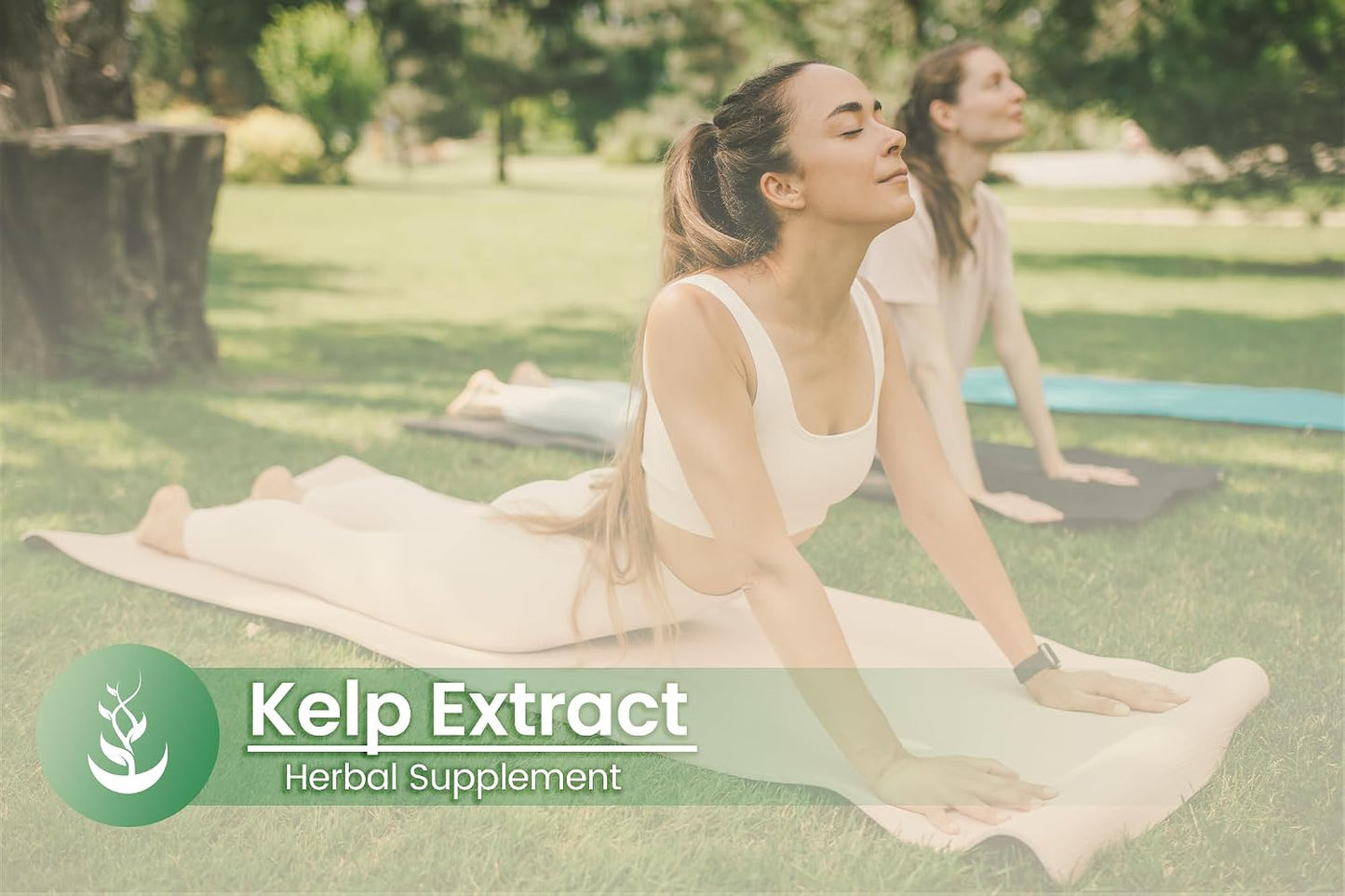 PURE ORIGINAL INGREDIENTS Kelp Extract (100 Capsules) - No Additives or Fillers - görsel 5