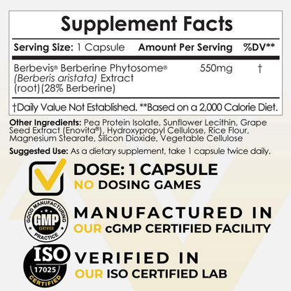 Nootropics Depot Berberine Phytosome Capsules, 550mg, High Bioavailability