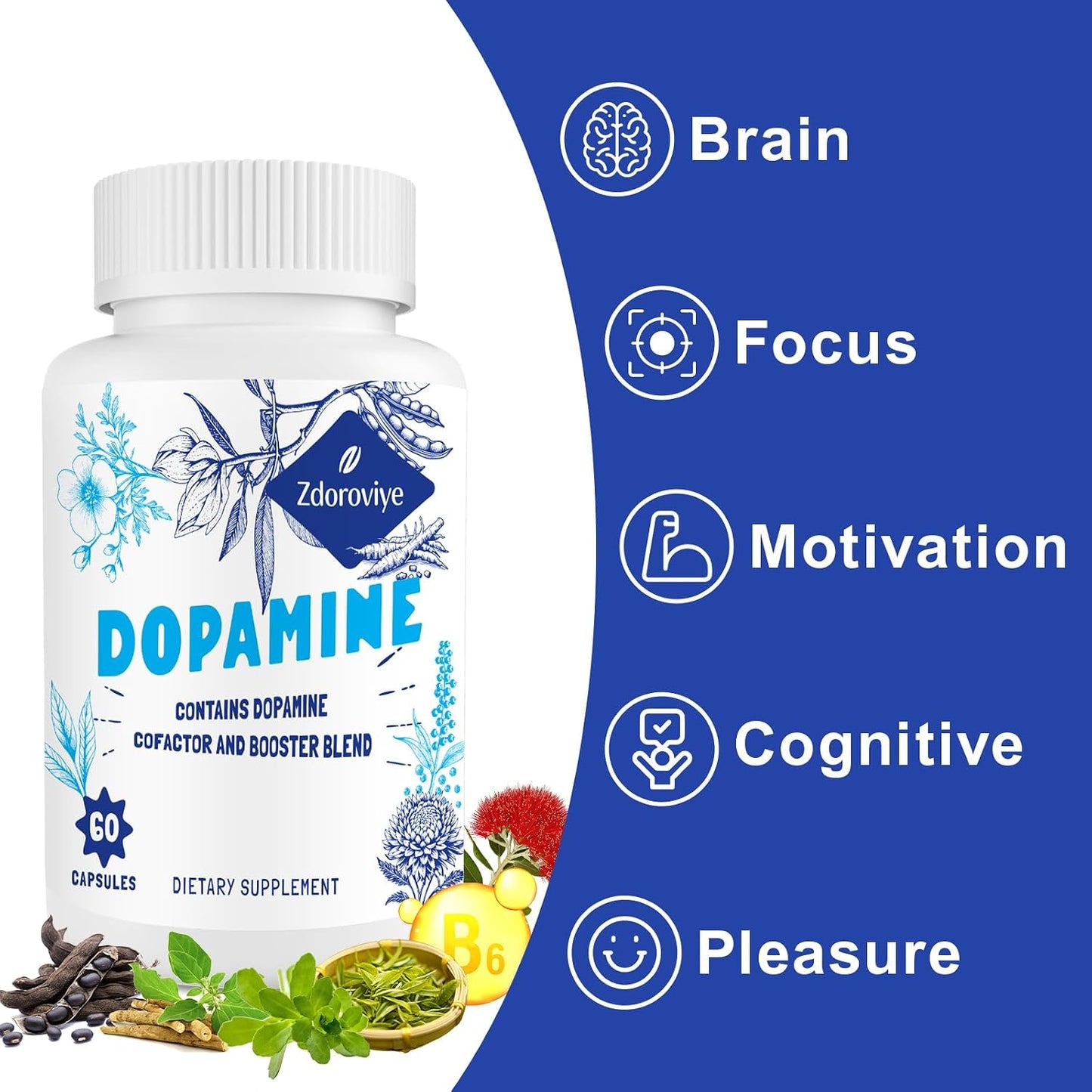 Zdoroviye Dopamine Supplement - 500mg Mucuna Pruriens Extract (40% L-DOPA) - 60 Capsules - görsel 6