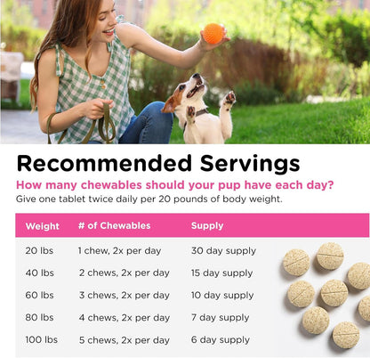 Nutri-Vet Allerg-Eze Chews for Dogs – Allergy Relief with Antioxidants & Omega-3s, 60 Chews