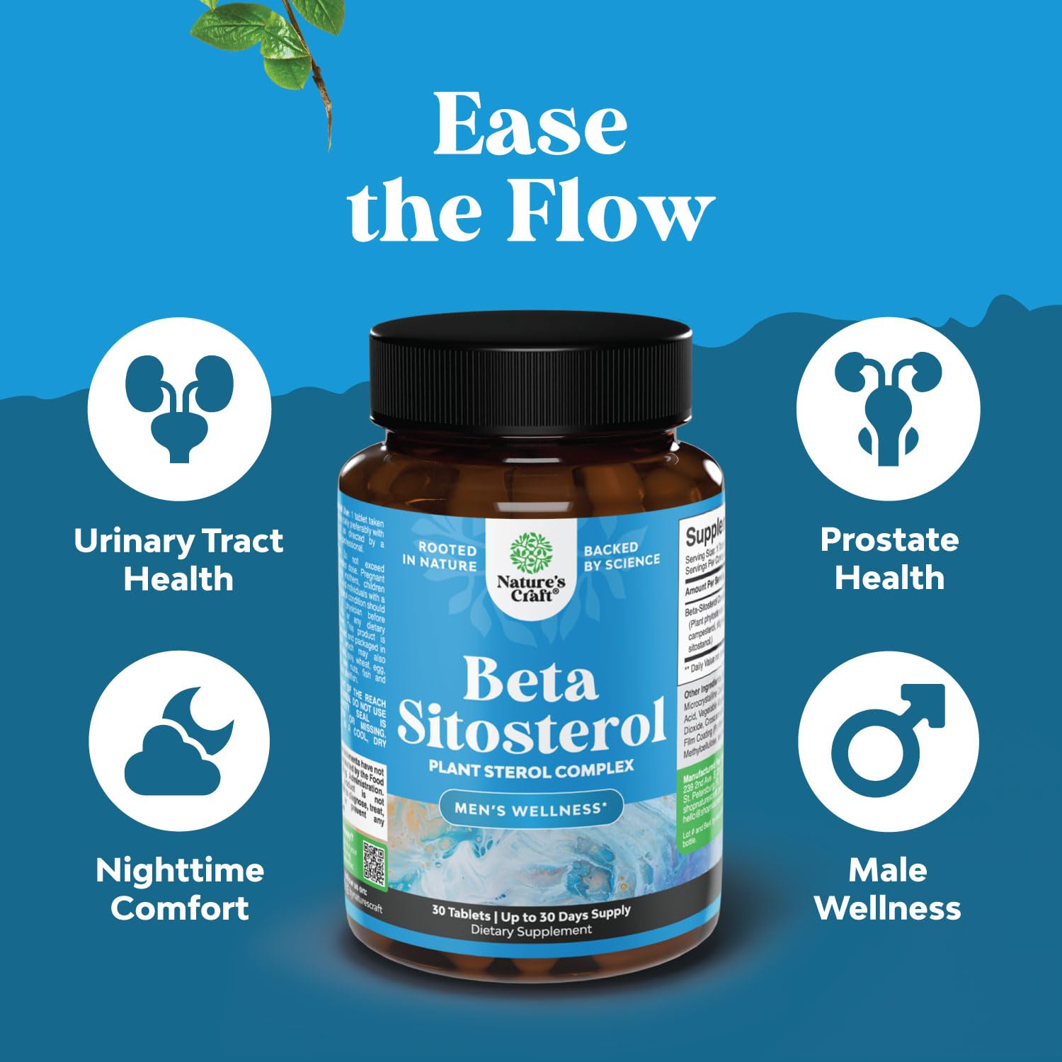 Plant Sterols Complex with Beta Sitosterol - 500mg Beta-Sitosterol Sterols and Stanols Supplement for Heart Health and Prostate Support - 30 Capsules - görsel 2