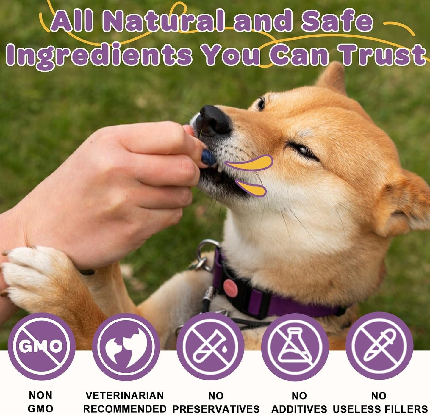 Probiotics for Dogs – 6 Billion CFUs & 10 Strains with Prebiotics, Omega-3, Digestive Enzymes & Multivitamins, Dog Probiotics for Digestive Health, Immune Support, Skin & Coat, 120 Duck Flavour Chews - görsel 7