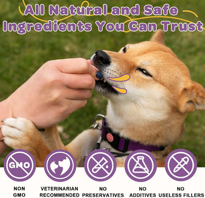 Probiotics for Dogs – 6 Billion CFUs & 10 Strains with Prebiotics, Omega-3, Digestive Enzymes & Multivitamins, Dog Probiotics for Digestive Health, Immune Support, Skin & Coat, 120 Duck Flavour Chews