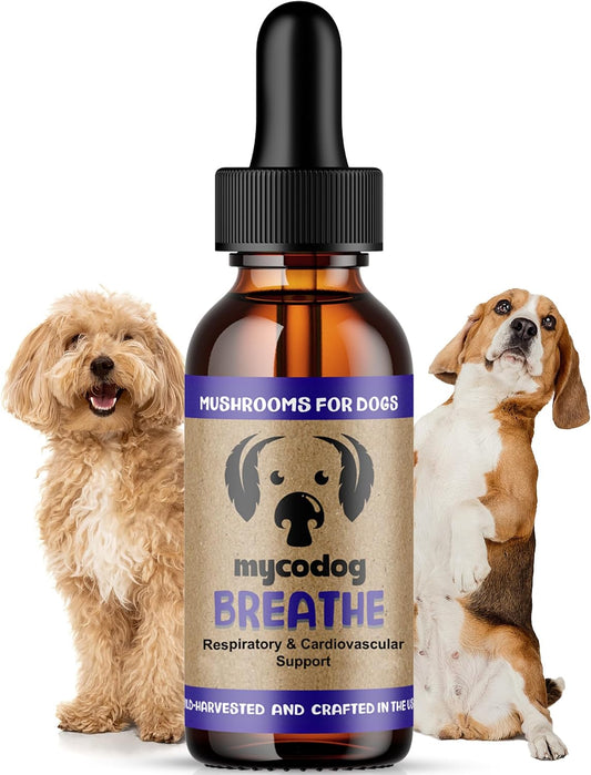 MycoDog Breathe - Respiratory Support for Dogs - Natural Mushroom & Ashwagandha Drops for Breathing Comfort