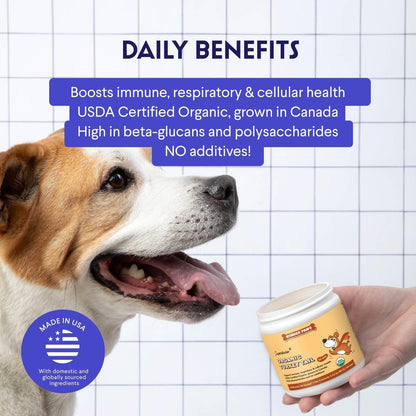 Wonder Paws Organic Turkey Tail Mushroom for Dogs – Immune Support Powder with Beta Glucans, 60 g