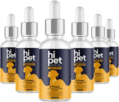 HiPet Vitamin B Complex for Dogs, Supports Metabolism and Increases Energy Levels, 50ml (Pack of 6)