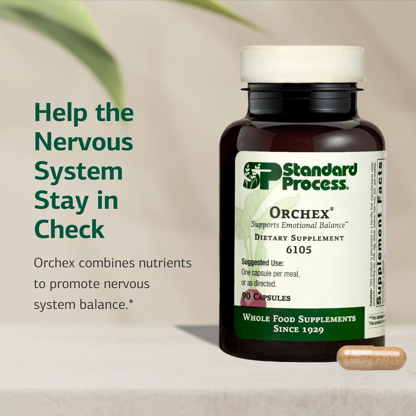 Standard Process Orchex - Nervous System Support with Niacin and Vitamin B6 - 90 Capsules - görsel 3