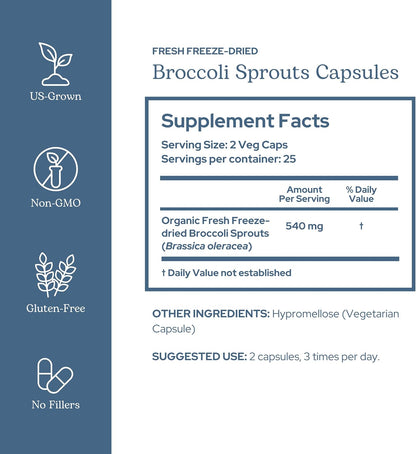 Eclectic Glass Broccoli Sprouts FDV - 50 Capsules