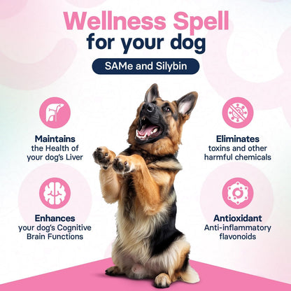 Liver Health Supplement for Large Dogs – Milk Thistle for Dogs Liver Support with S-Adenosylmethionine (SAMe) & Silybin – 30 Tablets