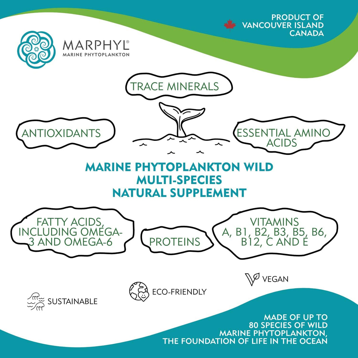 MARPHYL Marine Phytoplankton Wild Multi Species Food Supplement - 150 mg per Capsule - Organic - 30 Vegan Capsules - görsel 4