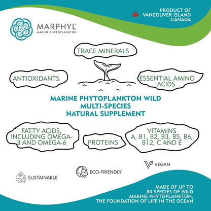 MARPHYL Marine Phytoplankton Wild Multi Species Food Supplement - 150 mg per Capsule - Organic - 30 Vegan Capsules