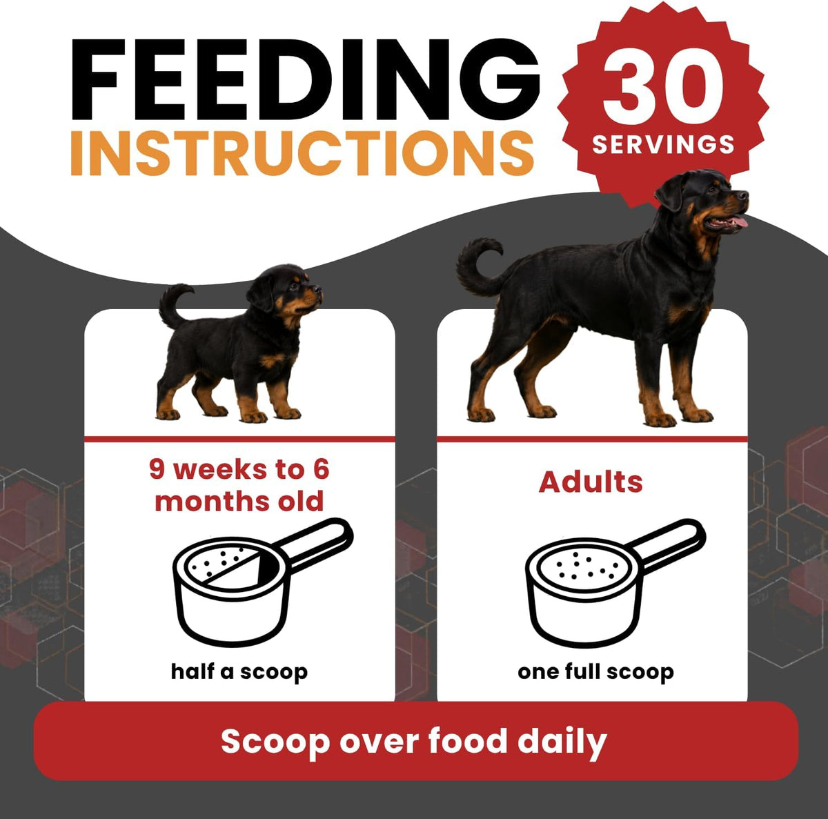 Probiotics for Dogs – Natural Dog Probiotics for Digestive Health, Gut Health, Yeast, Itchy Skin & Itchy Ears – Probiotic for Dogs – Dog Probiotic Supplement for Rottweilers - görsel 7