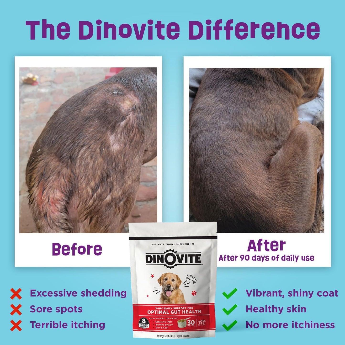 Dinovite Probiotics for Dogs, Probiotic Powder Food Topper for Small Dogs (0.5-8 kg), Daily Digestive Health & Skin Support with Omega-3s, 30 Servings - görsel 3