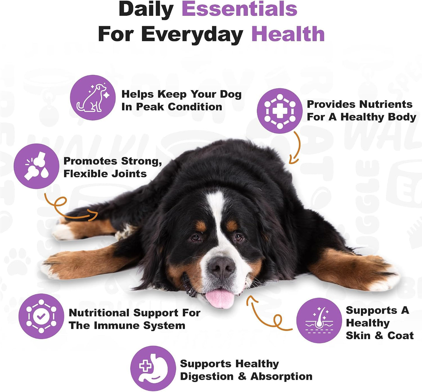 Doggie Dailies 5 in 1 Multivitamin for Dogs, Dog Multivitamin for Skin and Coat Health, Joint Health, Improved Digestion, Antioxidants, Support a Healthy Immune System (Peanut Butter) 225 Soft Chews - görsel 4