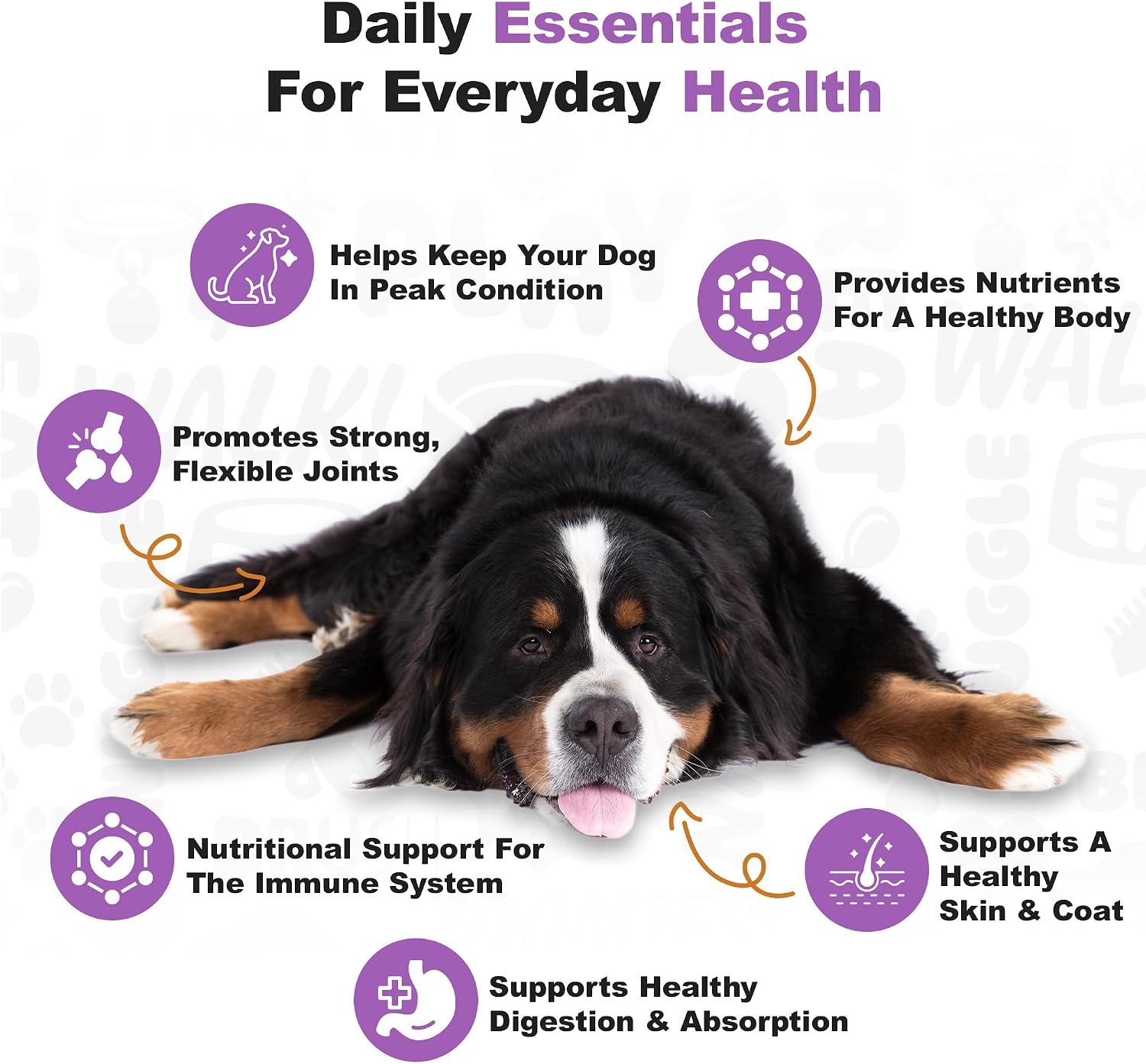Doggie Dailies 5 in 1 Multivitamin for Dogs, Dog Multivitamin for Skin and Coat Health, Joint Health, Improved Digestion, Antioxidants, Support a Healthy Immune System (Peanut Butter) 225 Soft Chews - görsel 4