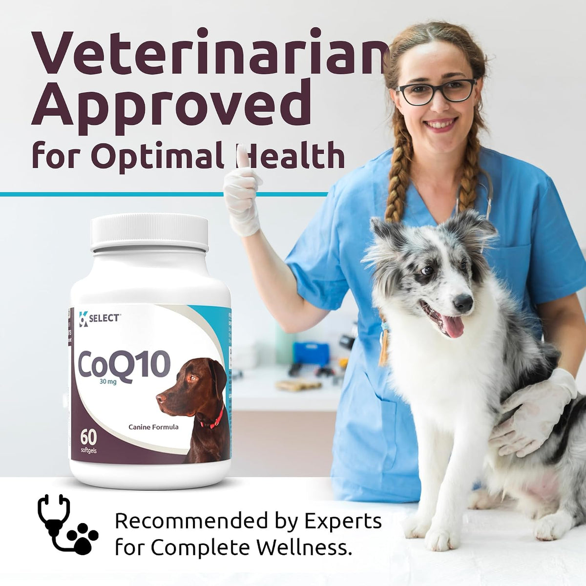 K9 Select CoQ10 Supplement for Dogs, 30mg – 90 Softgels - görsel 7