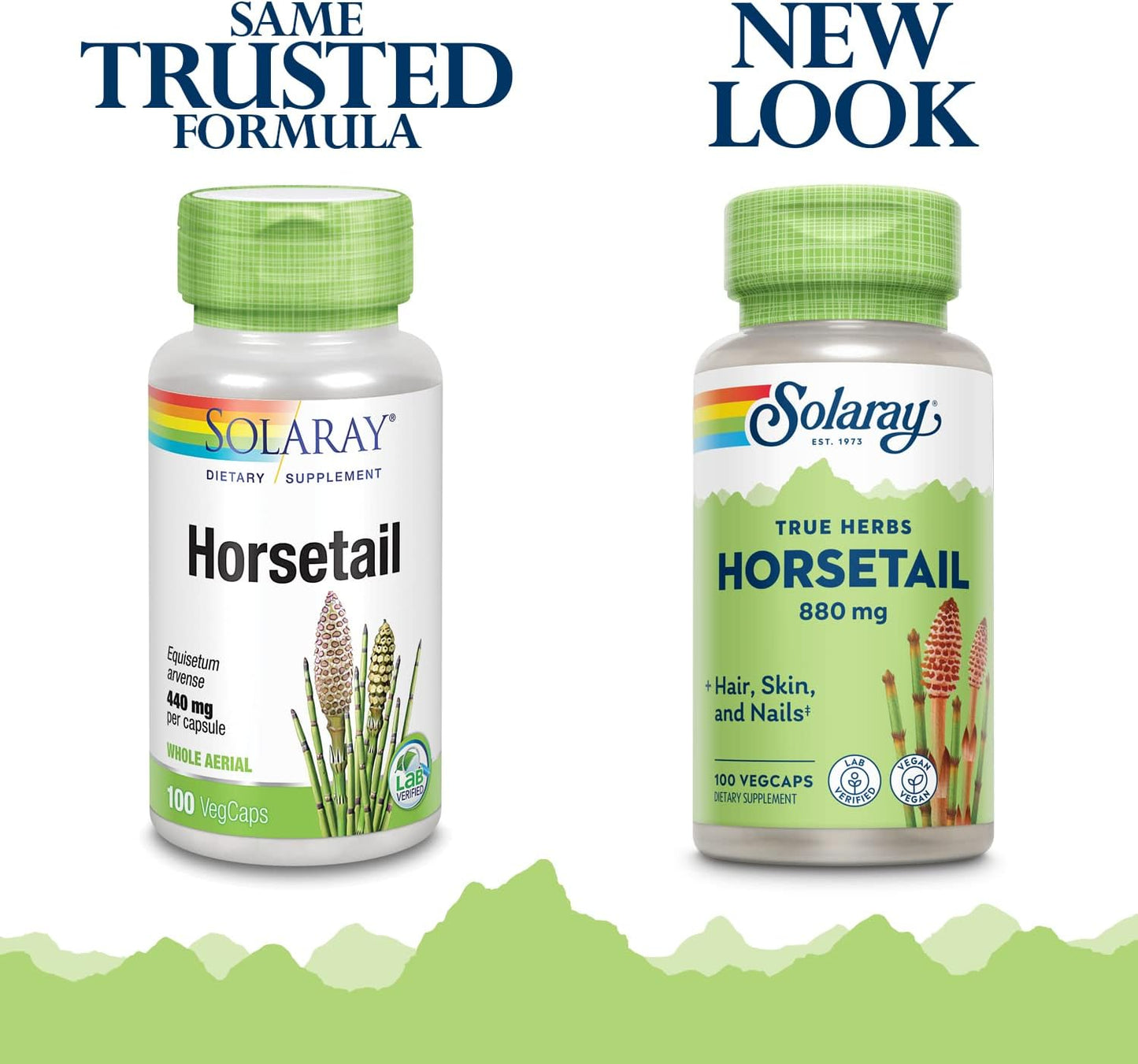 Solaray Horsetail 880 mg - Natural Silica Supplement for Hair, Skin and Nails - 100 Vegan Capsules - görsel 3