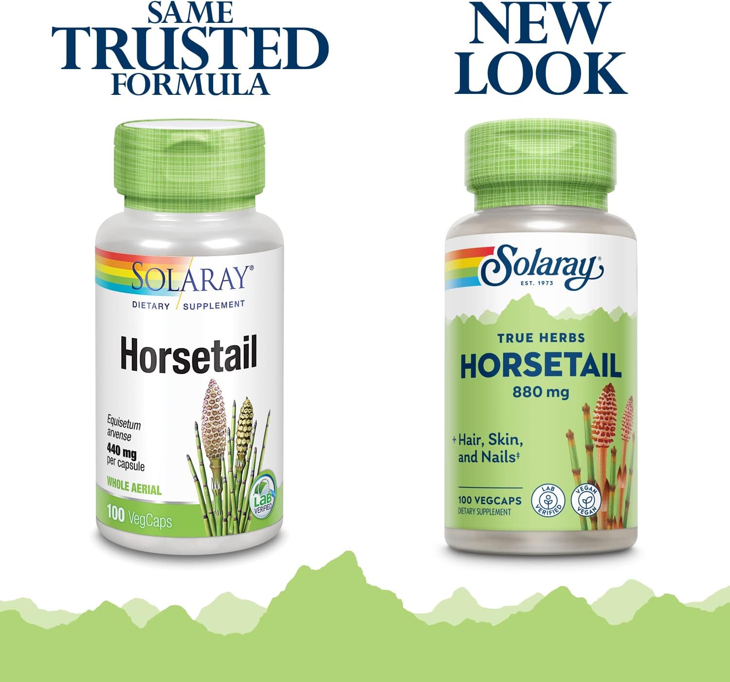 Solaray Horsetail 880 mg - Natural Silica Supplement for Hair, Skin and Nails - 100 Vegan Capsules - görsel 3
