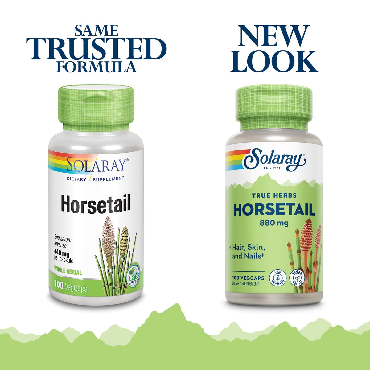 Solaray Horsetail Shavegrass, 440 mg, 100 Capsules - görsel 2