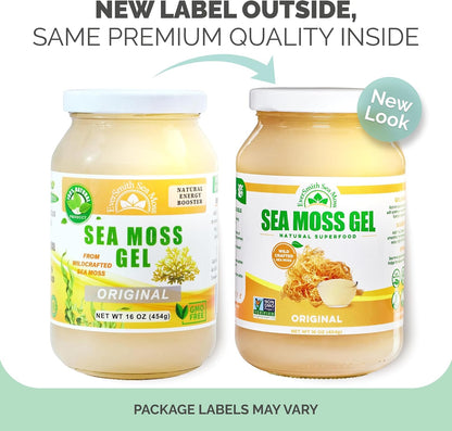 Wildcrafted Irish Sea Moss Gel - Unflavoured (454 g)