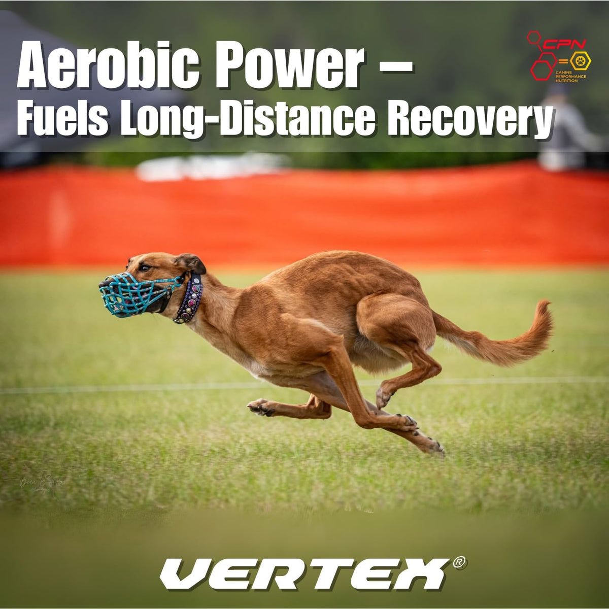 Vertex Canine Essentials High-Performance Dog Supplement – Predigested Liver, Whey & Egg Protein – Muscle Function, Recovery, Fertility & Milk Production – Active, Working & Breeding Dogs, 4.54 kg - görsel 7