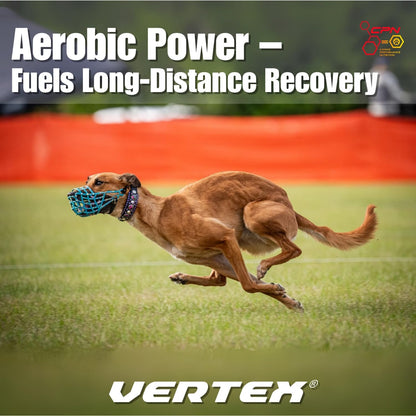 Vertex Canine Essentials High-Performance Dog Supplement – Predigested Liver, Whey & Egg Protein – Muscle Function, Recovery, Fertility & Milk Production – Active, Working & Breeding Dogs, 4.54 kg