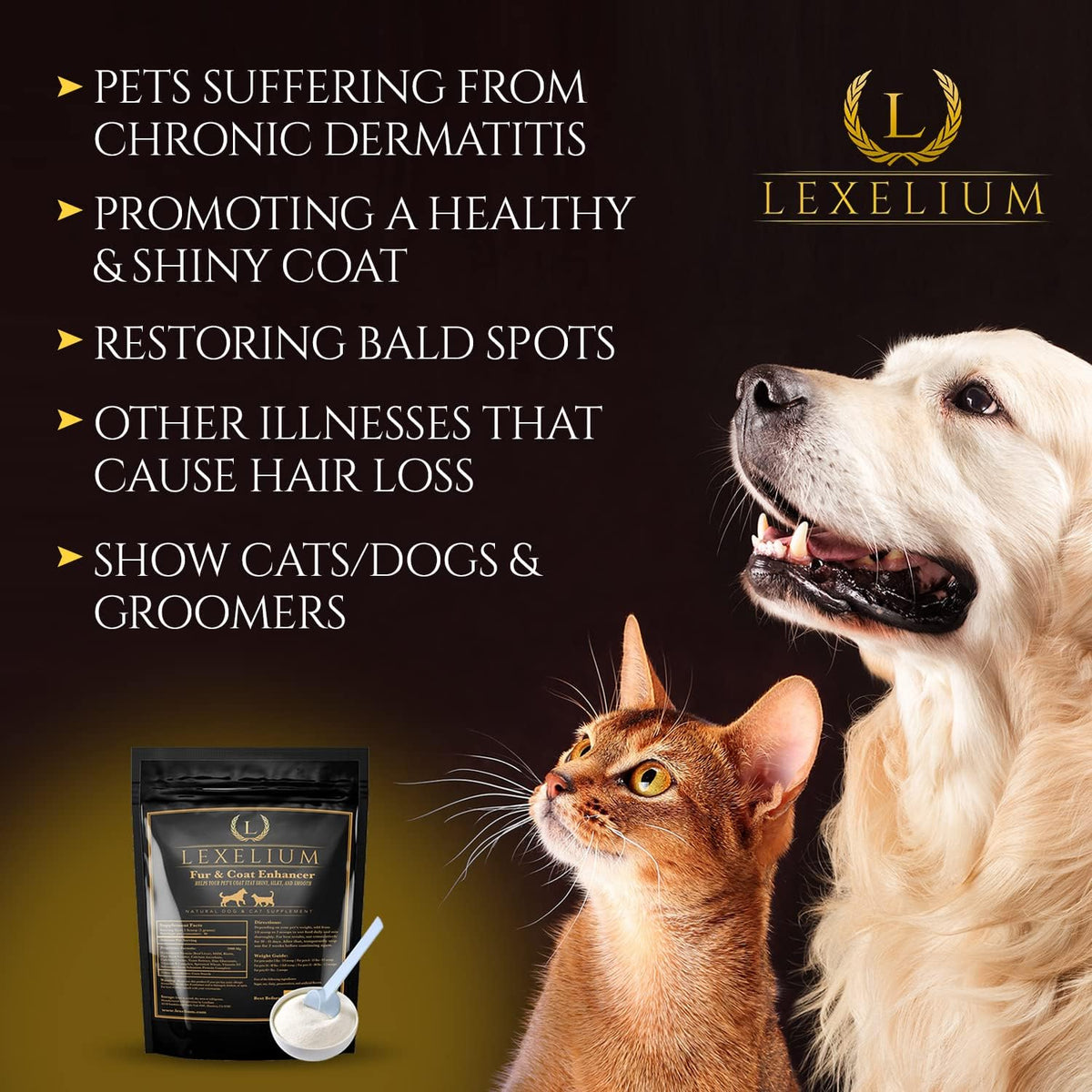 Lexelium Dermatitis Skin and Coat Supplement for Dogs and Cats - Promotes Healthy Skin and Coat, Helps with Itching and Dry Skin - Natural Powder Formula - 200g - görsel 4