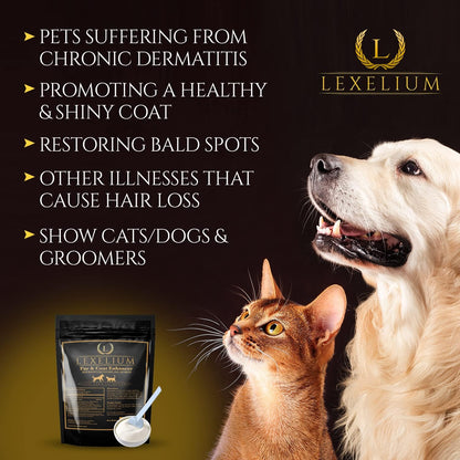 Lexelium Dermatitis Skin and Coat Supplement for Dogs and Cats - Promotes Healthy Skin and Coat, Helps with Itching and Dry Skin - Natural Powder Formula - 200g