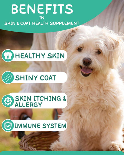 Omega-3 for Dogs - Skin and Coat Supplement with EPA & DHA - Fish Oil Chews with Salmon Oil & Vitamins - Chicken Flavour, 120 Chews