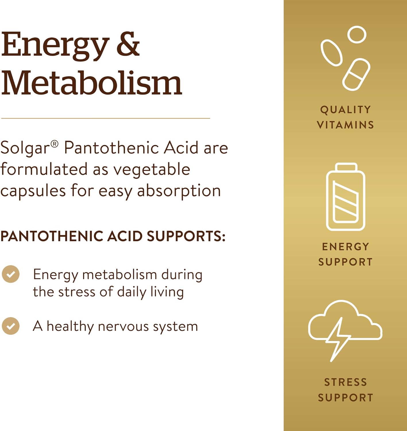 Solgar Pantothenic Acid 550 mg, 100 Vegetable Capsules – Vitamin B5 - görsel 4