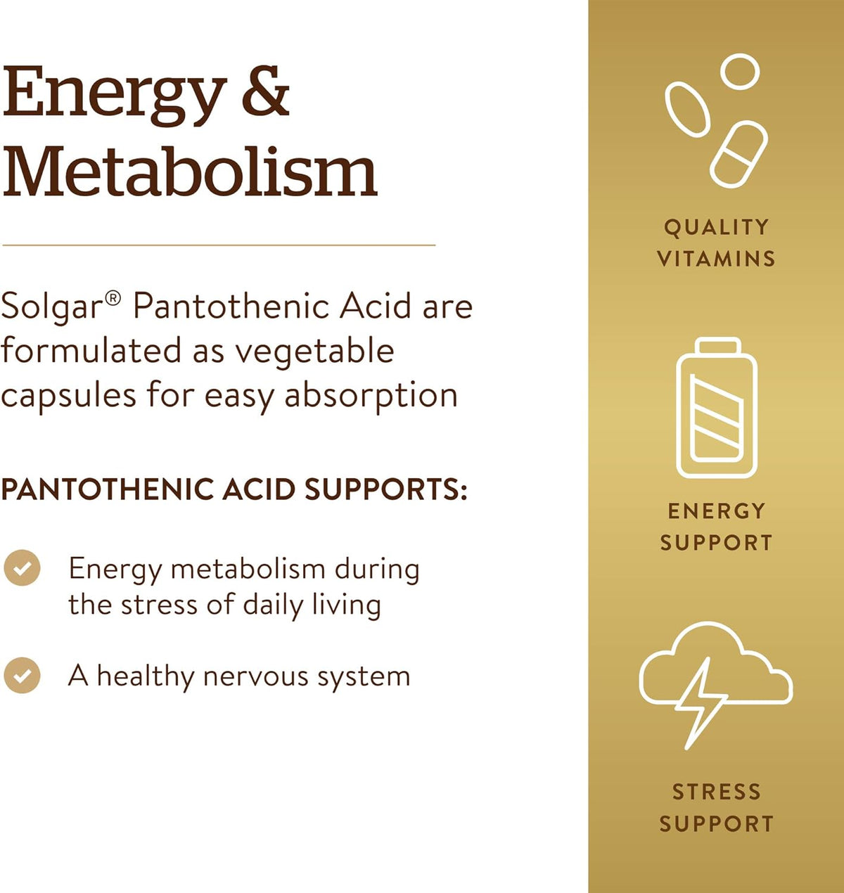 Solgar Pantothenic Acid 550 mg, 100 Vegetable Capsules – Vitamin B5 - görsel 4