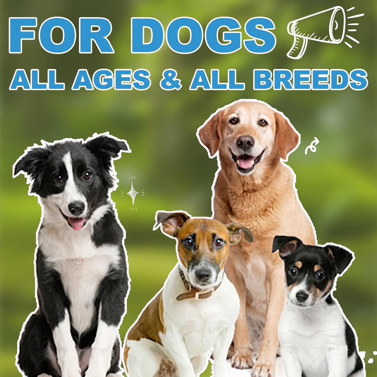 Vitamin D for Dogs, Liquid Vitamin D Drops, Dog Vitamins D Drops Promote Calcium Absorption, Supports Immune System, Hip & Joint Health, and Dental Health, Dog Multivitamin Supplements - görsel 7
