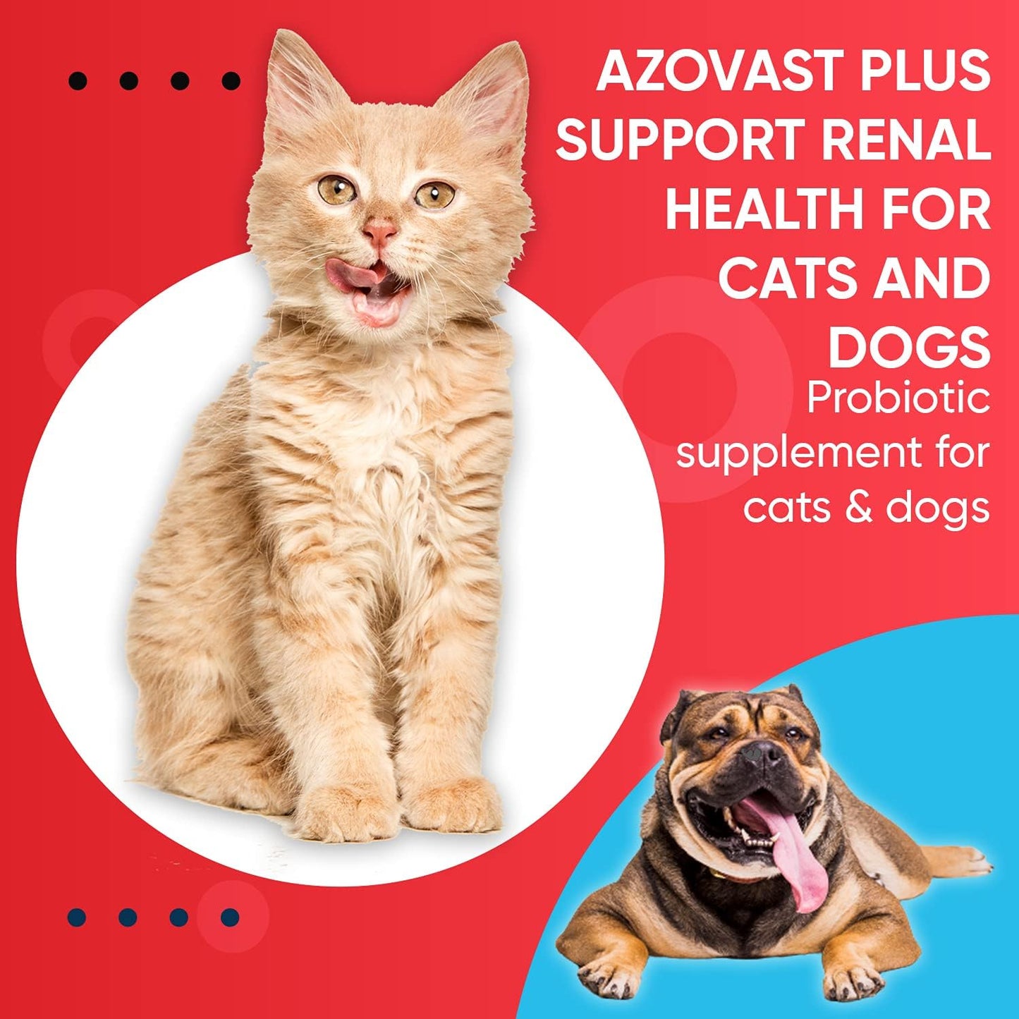 Azovast Plus Kidney Health Supplement for Dogs and Cats, 360 Capsules - görsel 9