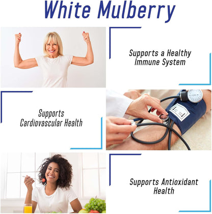 White Mulberry 1000mg 200 Vegan Capsules – White Mulberry Leaf Extract Supplement