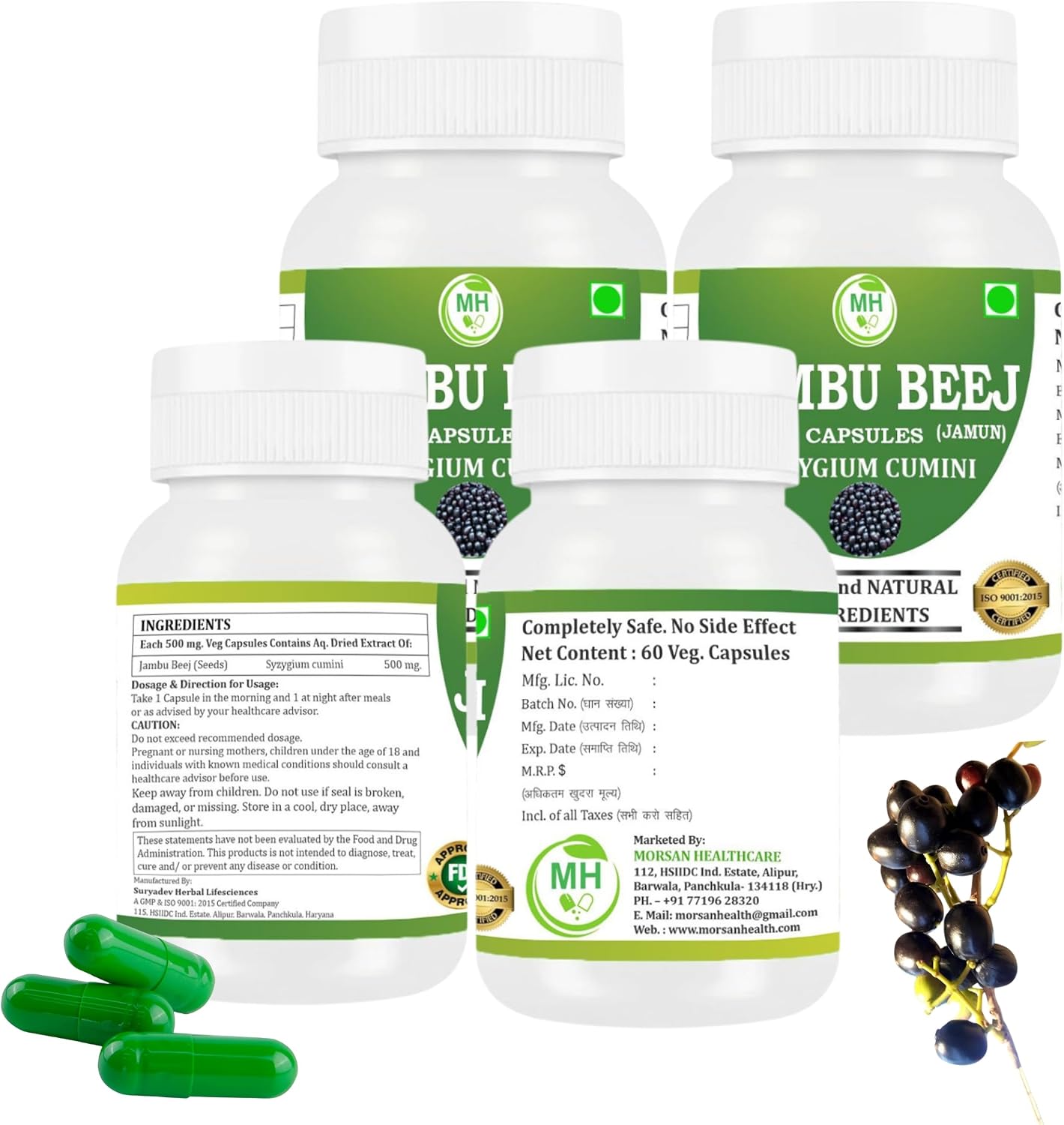 Morsan's Jambu Beej (Syzygium cumini) Capsules, 500 mg, 240 Vegan Capsules - görsel 2