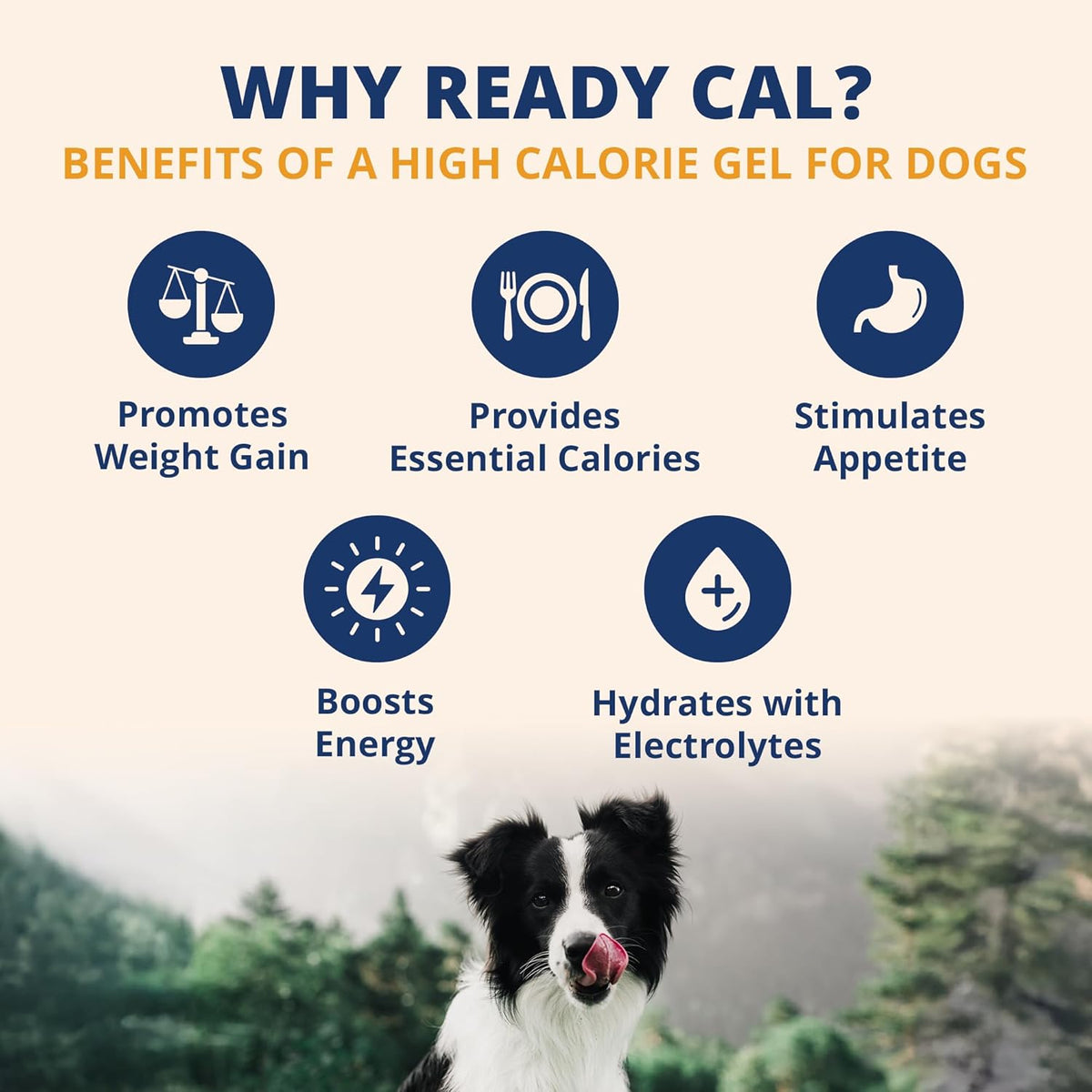 Under the Weather Ready Cal Plus Gel for Dogs, High-Calorie Supplement, 99g - görsel 2
