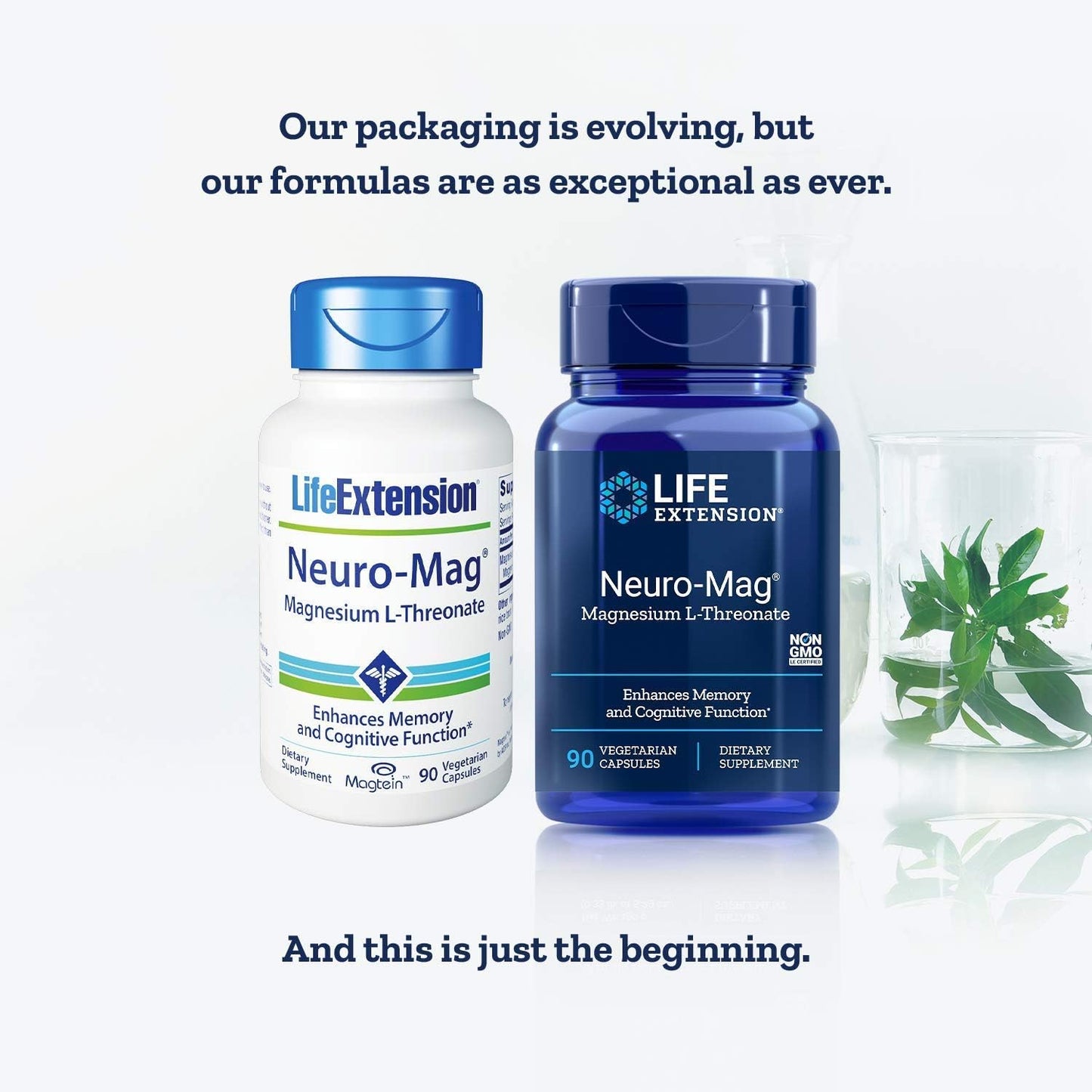 Life Extension Neuro-Mag, Magnesium L-Threonate Food Supplement, 90 Capsules - görsel 2
